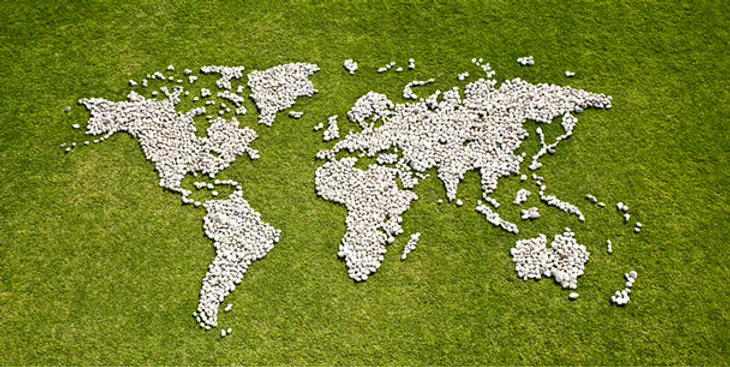 EOR vs. PEO: Does your business need an EOR or PEO?
